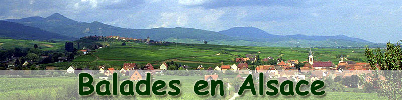 Randonn&eacute;es p&eacute;destres, velo, vtt, balades en Alsace