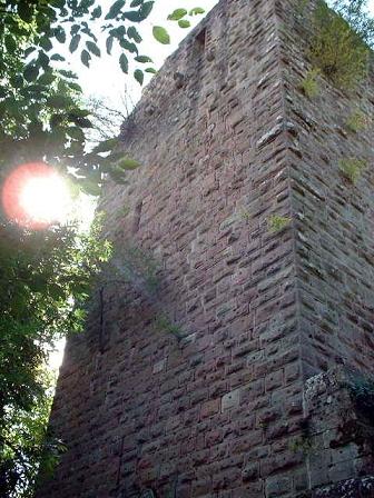 http://www.alsace-balades.bseditions.fr/image/photo/FR67NIDE0004.jpg