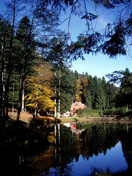 Pays de Salm. L