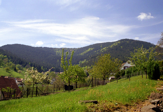 randonnee pedestre wangenbourg